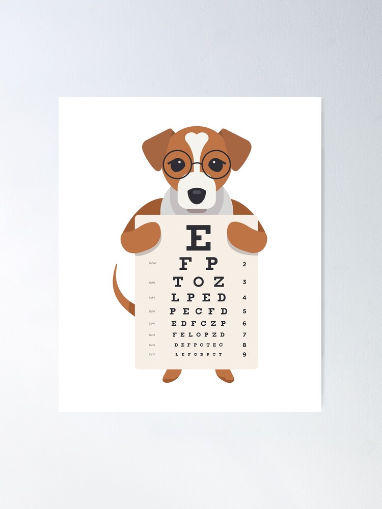 Snellen Chart Optimetric Eyesight Test Poster for Sale by quackynaut