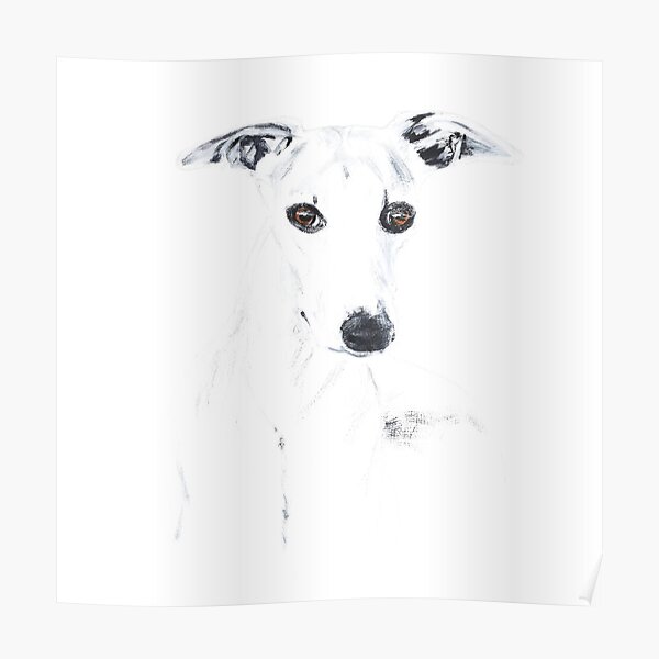 Whippet Love Poster