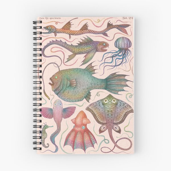 Item preview, Sea life specimens designed and sold by Cabinet Of Curiosities by Vlad.