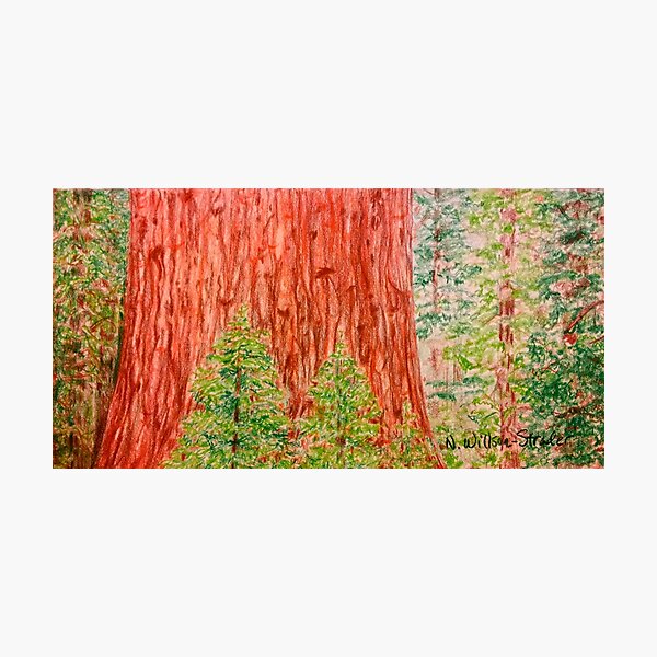 Item preview, California Redwood designed and sold by NWillsonStrader.