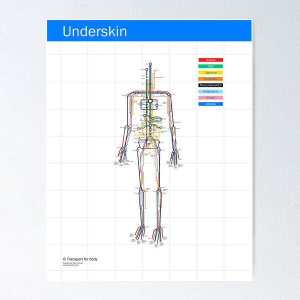 Item preview, Underskin new version designed and sold by Sam Loman.