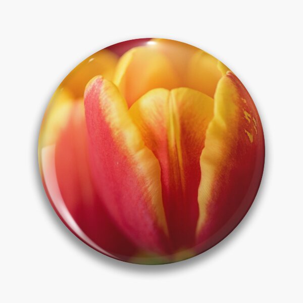 Item preview, Macro: tulipán designed and sold by photoduque.
