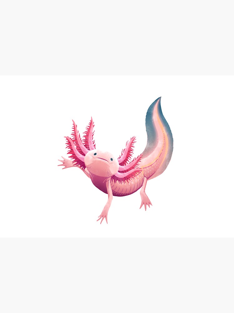 Axolotl by twicinas