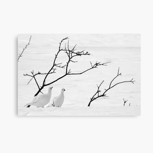 Item preview, Ptarmigan Winter designed and sold by May-Le Ng.