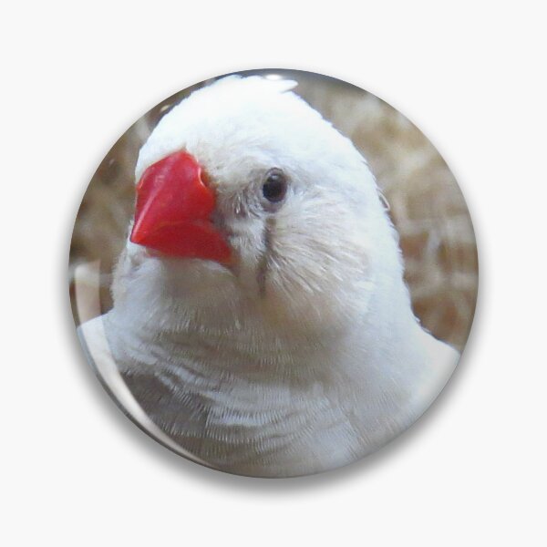 Item preview, White Finch designed and sold by Linda Walsh.