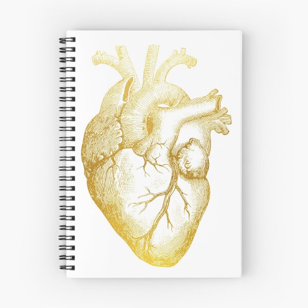 Item preview, Human Heart designed and sold by Liededrom..