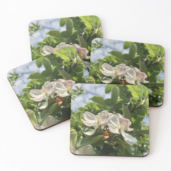 Item preview, Different steps in the life of a flower designed and sold by lucielitchi.