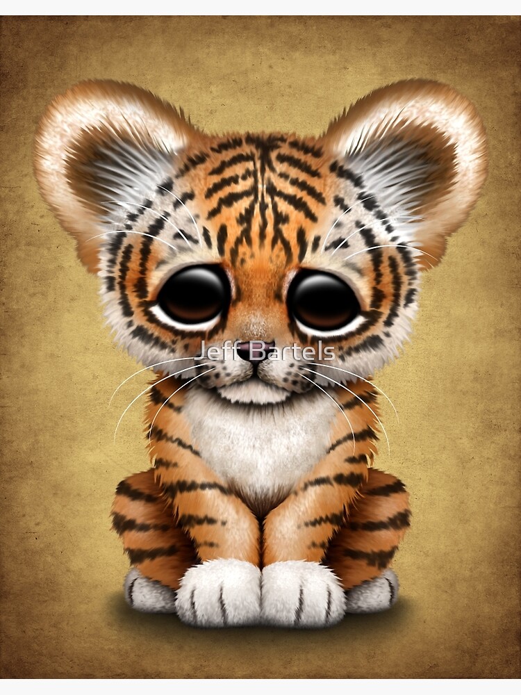 Cute Baby Tiger Cub  Poster for Sale by jeff bartels