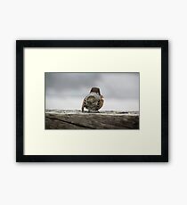 Solo bird Framed Print