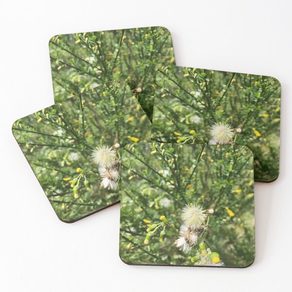 Item preview, Family of flowers designed and sold by lucielitchi.