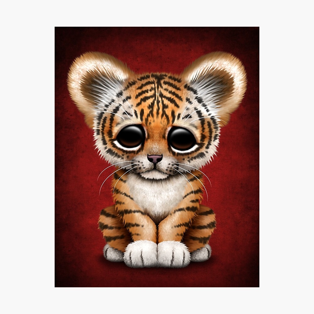 Baby Tiger Poster