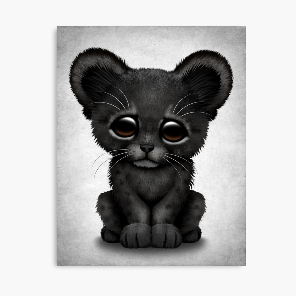 Impression Photo Bebe Mignon Panthere Noire Par Jeffbartels Redbubble