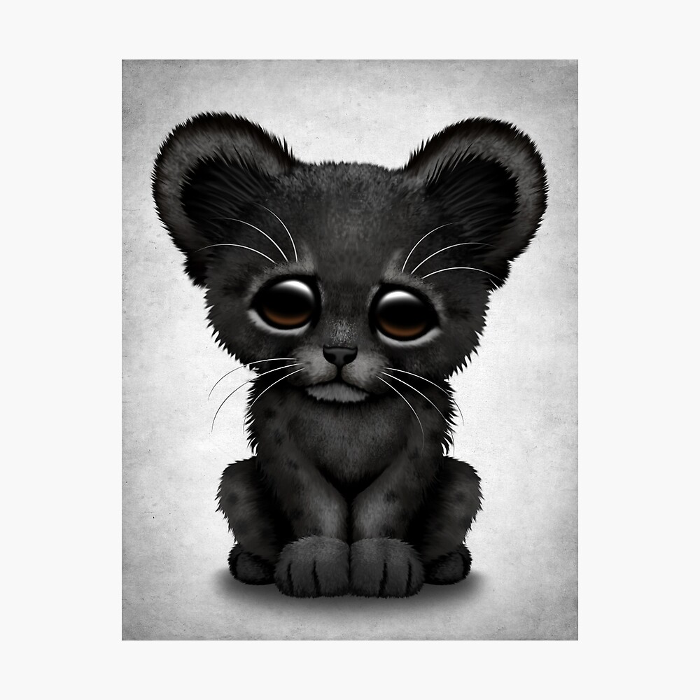 Cute Baby Black Panther Cub Poster By Jeffbartels Redbubble