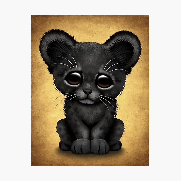 Impression Photo Bebe Mignon Panthere Noire Par Jeffbartels Redbubble