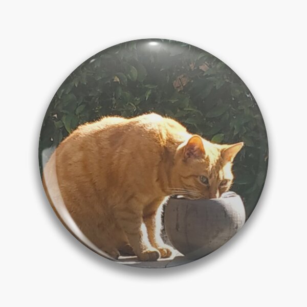 Item preview, Alley cat drinking water designed and sold by Libbys-photos.