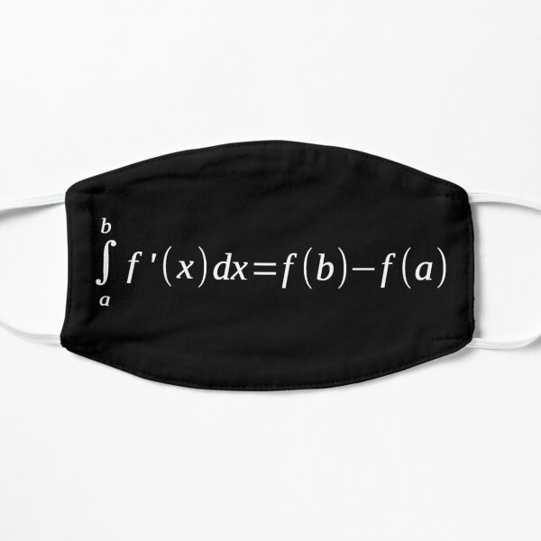 Fundamental Theorem Of Calculus T-Shirt Math Teacher Newton Flat Mask