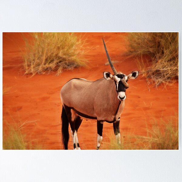 Oryx or Unicorn? Poster
