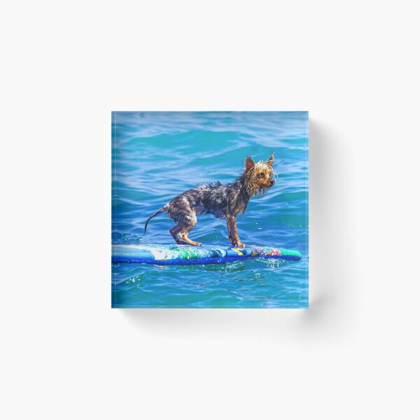 Item preview, Boogie Boarding Yorkie designed and sold by Digby Merry.