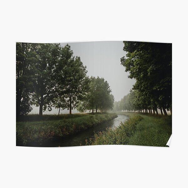 The bend of river between trees in misty morning Poster