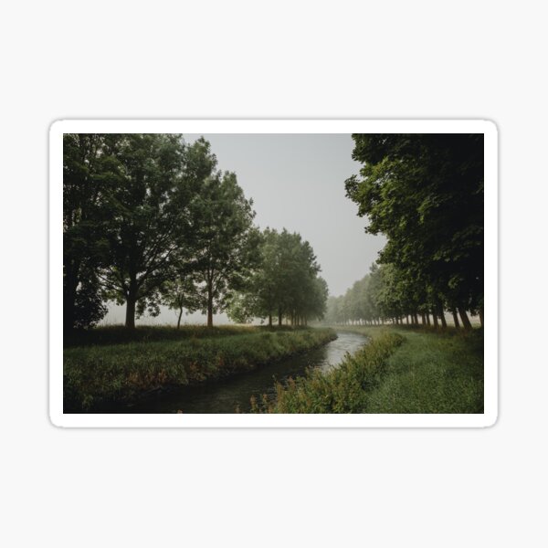 The bend of river between trees in misty morning Sticker