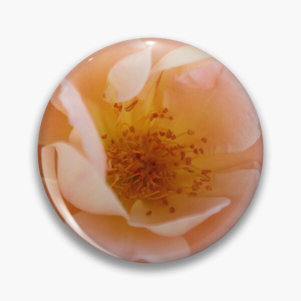 Item preview, Powder Pink Colored Rose designed and sold by taiche.
