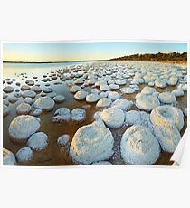 Thrombolite Fields Poster