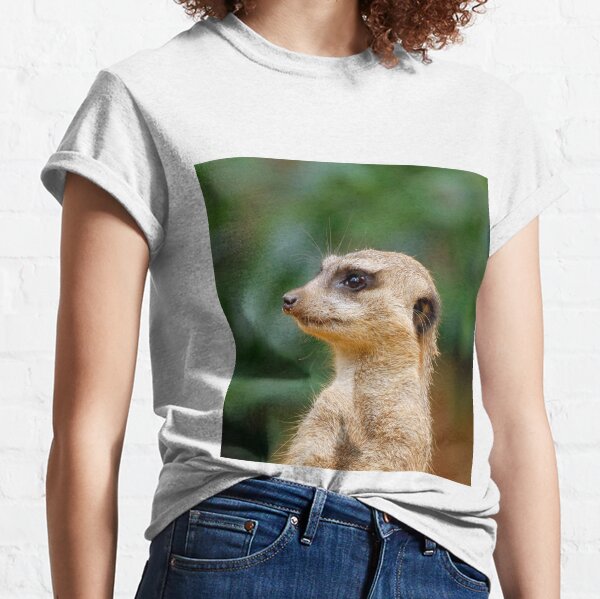 meerkat t shirt asda