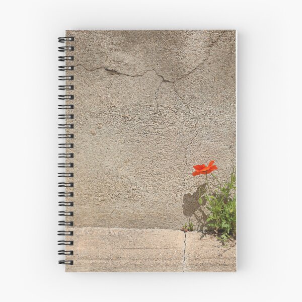 Item preview, Optimist. designed and sold by Paul Pasco.