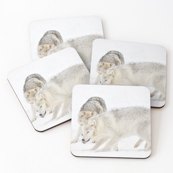 Aperçu de l'œuvre Where is it ? __ Arctic Wolves créée et vendue par Poete100.