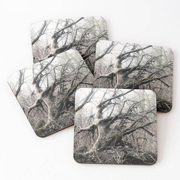 Item preview, 25.4.2020: Dead Trees designed and sold by Petri Volanen.