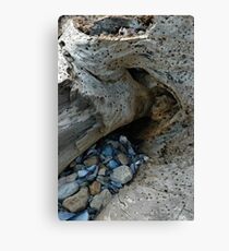 Natural History Canvas Print