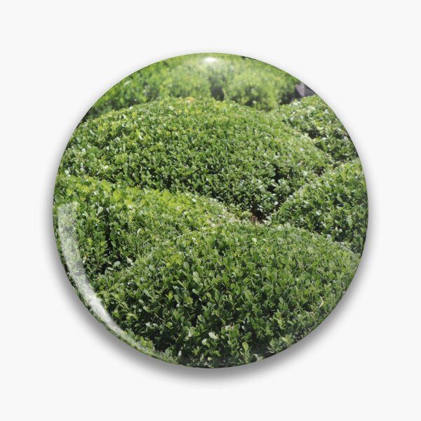 Item preview, Hedges  designed and sold by Mickpew.