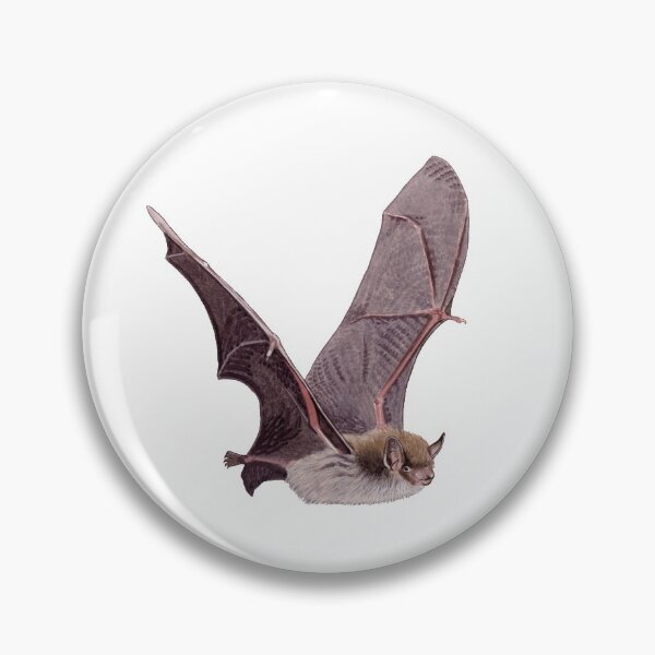 Item preview, Pond Bat designed and sold by kokayart.