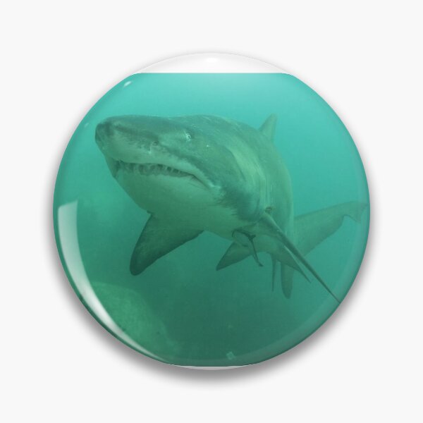 Item preview, Grey nurse shark. designed and sold by Mickpew.