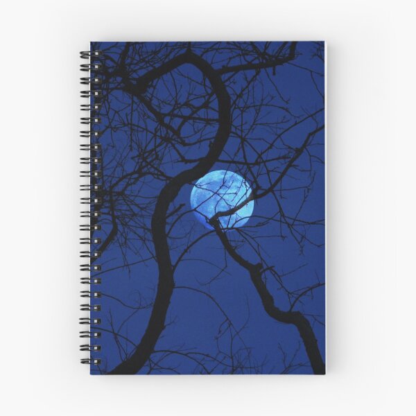 Item preview, Bare Tree Branches and Full Moon designed and sold by Anna Lemos.