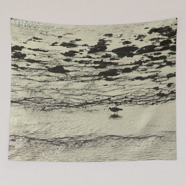 Aperçu de l'œuvre Courlis échassier oiseau Rocky Seashore créée et vendue par Anna Lemos.