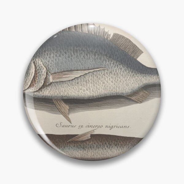 Item preview, The Margate Fish and Sea Sparrow-Hawk by Mark Catesby, 1777 designed and sold by Vintage Wall Art.
