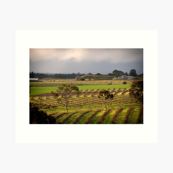 Item preview, Barossa Valley designed and sold by SusanAdey.