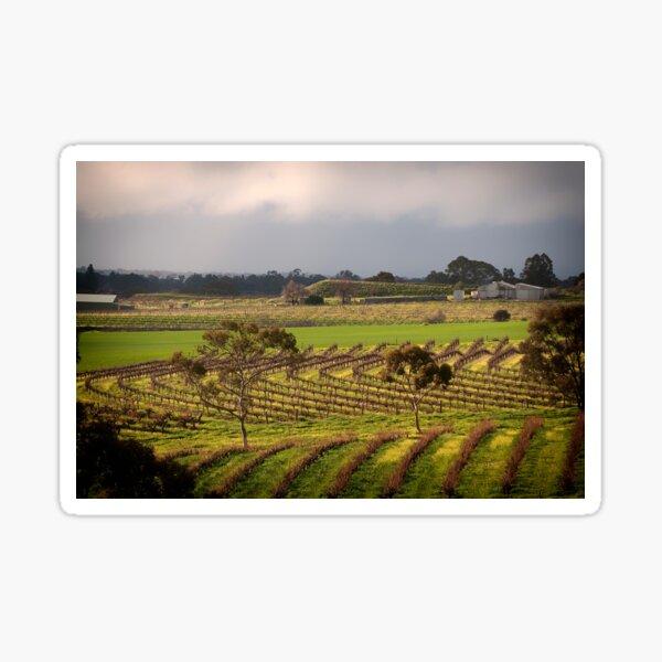 Item preview, Barossa Valley designed and sold by SusanAdey.