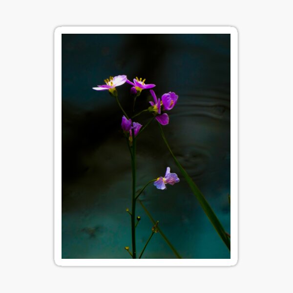 purple flowers by Alet Sticker
