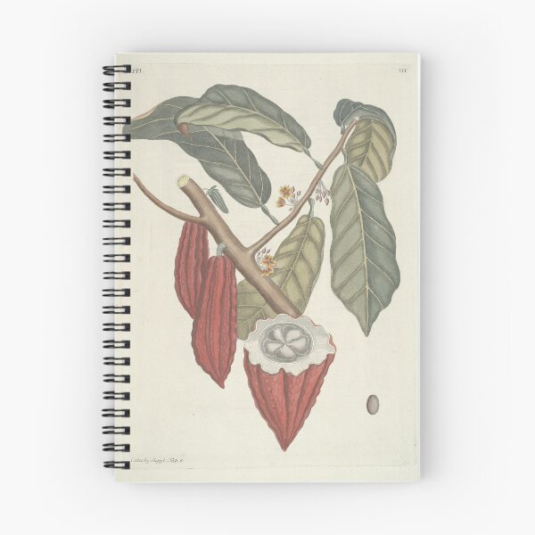 Item preview, Cacao Tree Vintage Scientific Illustration by Mark Catesby, 1777 designed and sold by Vintage Wall Art.