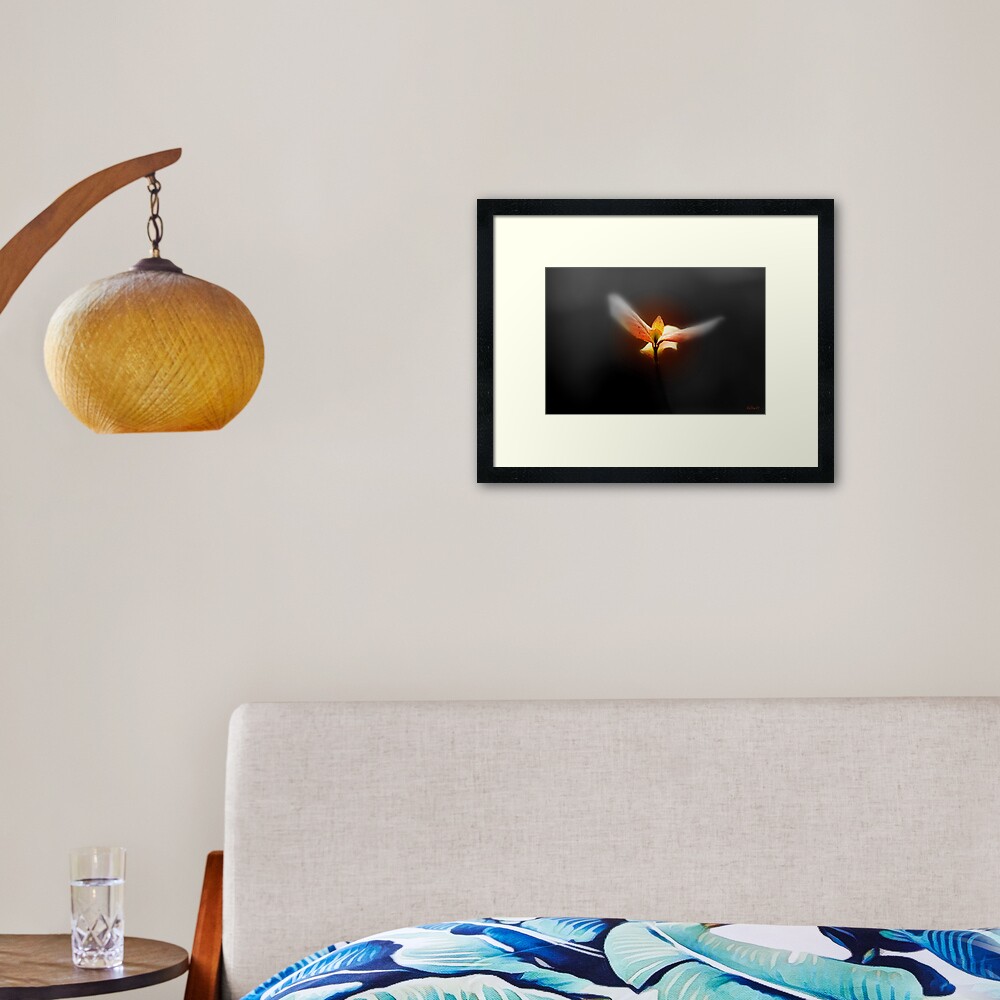 Flight Dream Framed Art Print