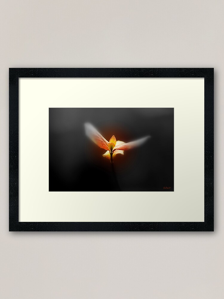 Alternate view of Flight Dream Framed Art Print