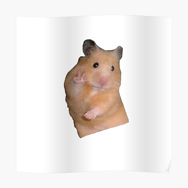 Hamster Meme Sticker Poster By Oliviapersson Redbubble