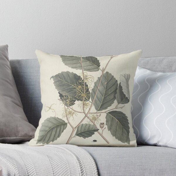 Item preview, Centipede and Witch Hazel Vintage Botanical Print  designed and sold by Vintage Wall Art.