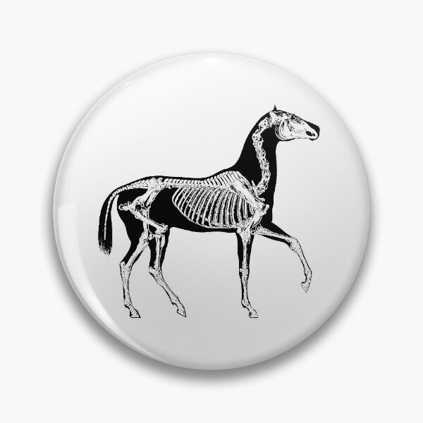 Item preview, Black horse with skeleton designed and sold by reapolo.