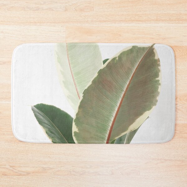 Item preview, Ficus Tineke designed and sold by Cassia Beck.