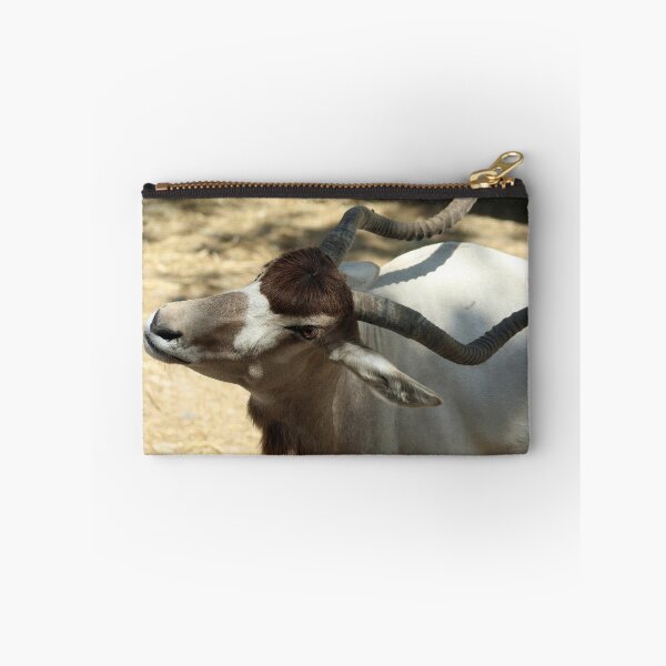 Item preview, Addax, Sahara Desert Antelope designed and sold by Anna Lemos.