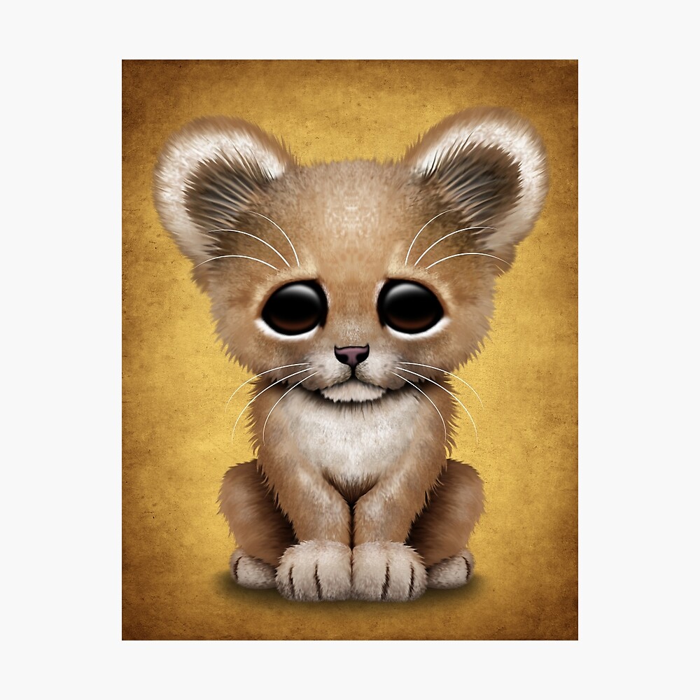 Cute Baby Lion Cub Cute Baby Lion Cub