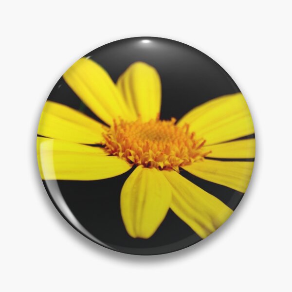 Item preview, Floating Butterfly Marguerite Daisy  designed and sold by taiche.